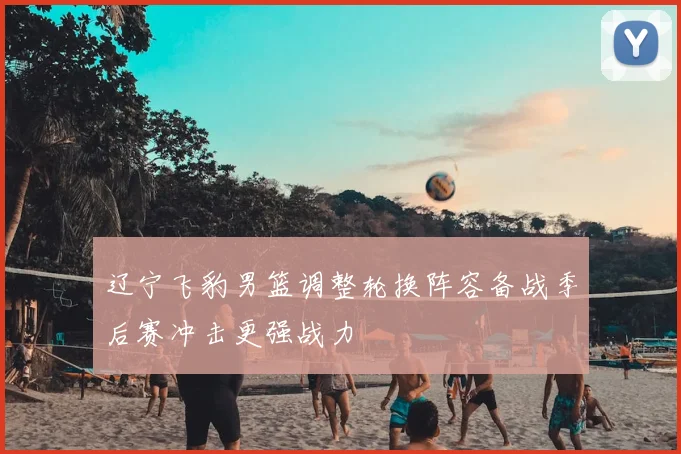 辽宁飞豹男篮调整轮换阵容备战季后赛冲击更强战力